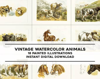 May include: A set of 18 vintage watercolor animal illustrations. The illustrations feature a variety of animals, including sheep, cows, horses, and a bull. The illustrations are in a classic style and would be perfect for adding a touch of vintage charm to any project.