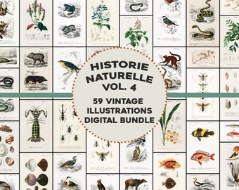 May include: A collage of 59 vintage illustrations of various animals, plants, and insects. The title "HISTOIRE NATURELLE VOL. 4 59 VINTAGE ILLUSTRATIONS DIGITAL BUNDLE" is displayed in a brown circle.