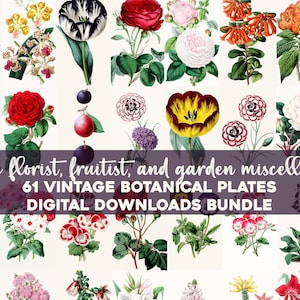 Der Blumenhändler, Obsthändler und Gärtner Vintage Botanische Illustrationen druckbare Wandkunst Bundle Digitaler Download Collage Kit Kommerzielle Nutzung