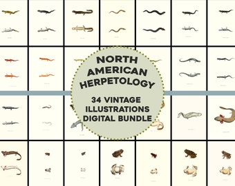 34 Awesome Vintage Herpetology Illustration Plates Image Bundle/Printable Wall Art Bundle Digital Download Frog Snakes Lizard Commercial Use