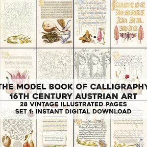 Puede incluir: Conjunto de 28 páginas ilustradas vintage del siglo XVI, con caligrafía e ilustraciones botánicas. El texto "THE MODEL BOOK OF CALLIGRAPHY" se muestra de forma destacada. Es arte austriaco del siglo XVI, disponible como descarga digital.