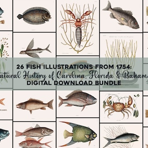 Vis Illustratie Platen | Natuurlijke historie van Carolina, Florida & Bahama's Vintage afdrukbare Wall Art bundel digitale download commercieel gebruik