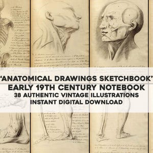 Könnte beinhalten: Eine Sammlung von 38 Vintage-anatomischen Zeichnungen aus einem frühen Skizzenbuch des 19. Jahrhunderts. Die Zeichnungen zeigen das menschliche Skelett, die Muskeln und den Kopf. "Anatomical Drawings Sketchbook" und "Early 19th Century Notebook" sind oben auf dem Bild geschrieben.