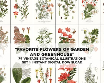 May include: A digital download of 79 vintage botanical illustrations of flowers, titled "Favorite Flowers of Garden and Greenhouse". The illustrations are in a grid format, with each flower depicted in detail.