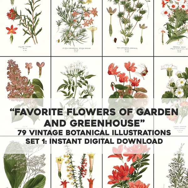 79 Favorite Flowers of Garden & Greenhouse Illustrations | Image Bundle Printable Wall Art | Instant Digital Download | Commercial Use 1
