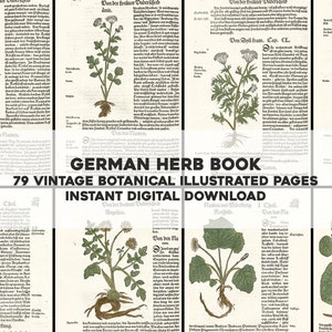 79 Restaurierte Seiten aus einem alten deutschen Kräuterbuch | Bild Bundle Druckbare Wandkunst | Sofortiger digitaler Download Kommerzielle Nutzung