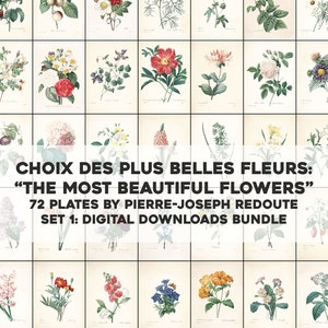 72 of the Most Beautiful Flowers Pierre Joseph Redoute | HQ Image Bundle Printable Wall Art | Instant Digital Download Commercial Use 1