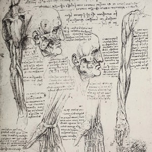 Leonardo Da Vinci Sketches Diagrams 