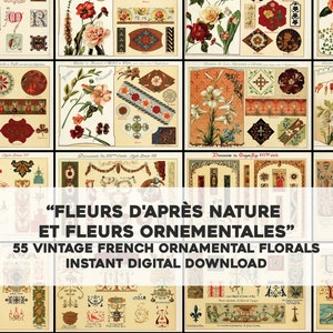 55 Ilustraciones de diseños ornamentales florales vintage / Paquete de imágenes manchadas vintage / Descarga digital instantánea / Uso comercial