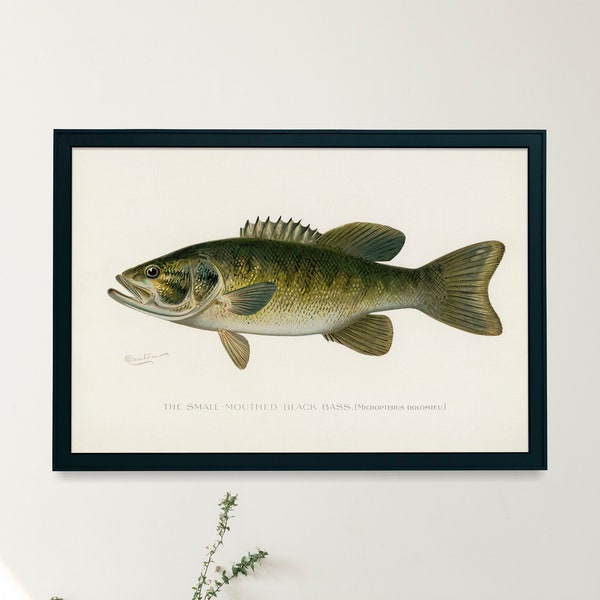 Printable Wall Art Fish Etsy