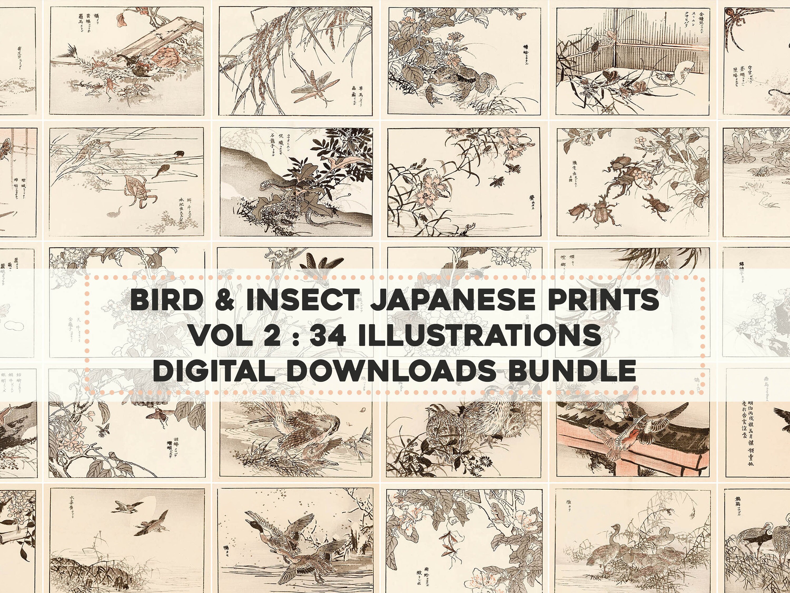 Japanese Insect Drawing 34 Delicate Japanese Bird & Insect Bairei Woodblock Prints | HQ Image ...
