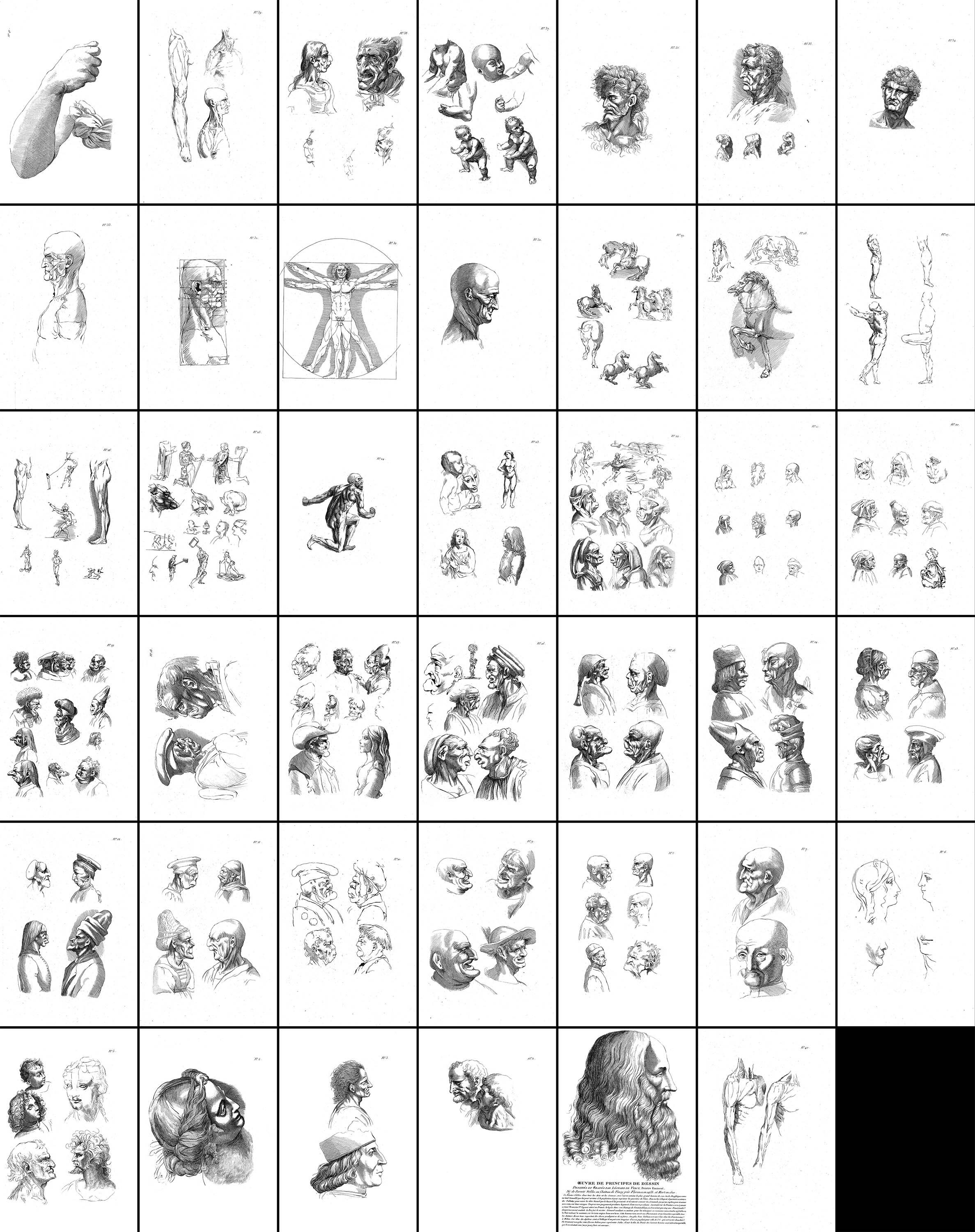 41 レオナルド ダ ヴィンチの原稿のスケッチ図セット 4 | 画像バンドル