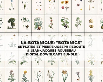 Peut inclure: Un collage de 65 illustrations botaniques, mettant en scène diverses fleurs, plantes et arbres. Le titre "LA BOTANIQUE: "BOTANICS" 65 PLATES BY PIERRE-JOSEPH REDOUTE & JEAN-JACQUES ROUSSEAU DIGITAL DOWNLOADS BUNDLE" est affiché sur une bannière noire.