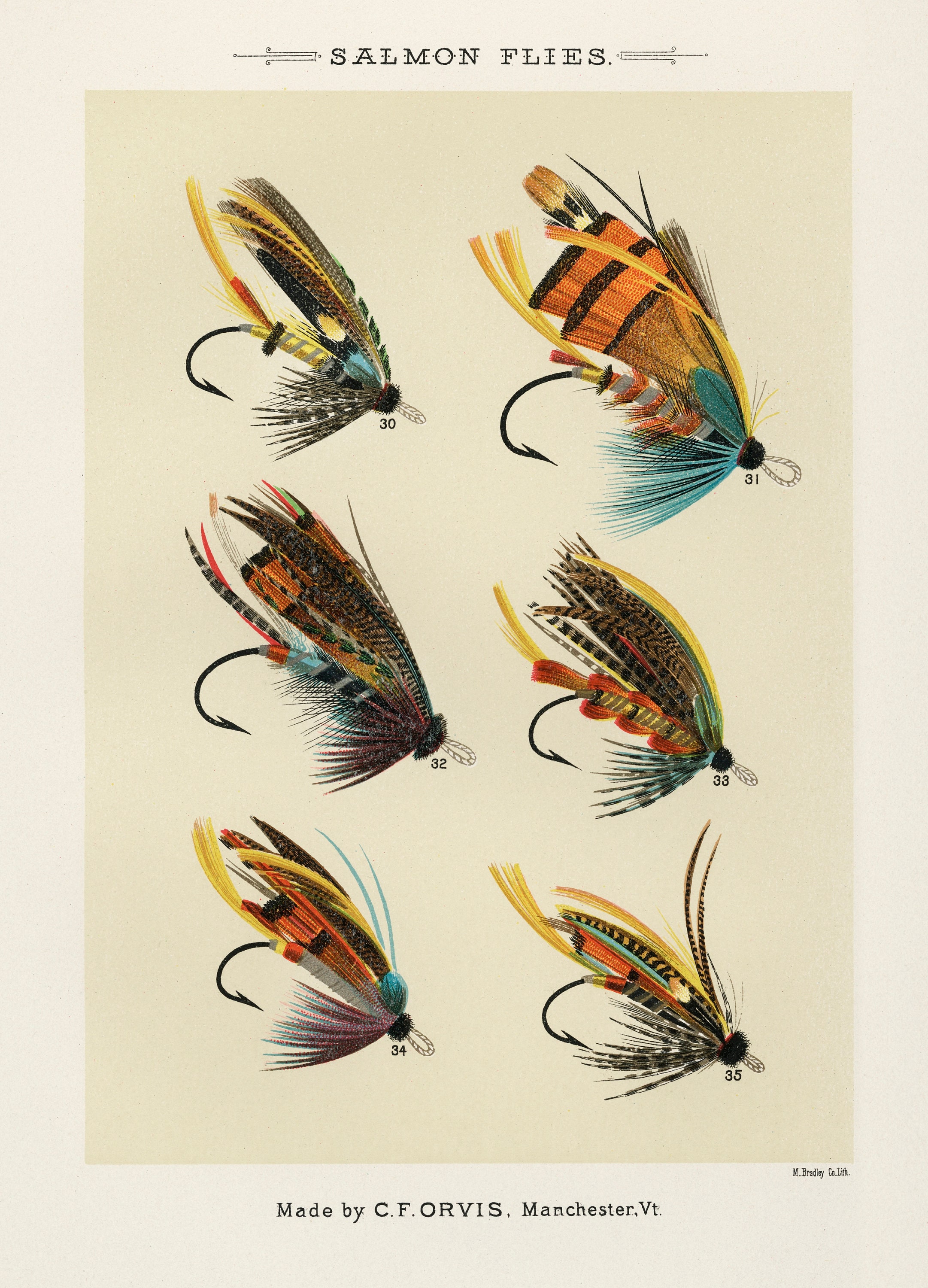 Mary Orvis Salmon Flies 3 Single Printable Wall Art Large High