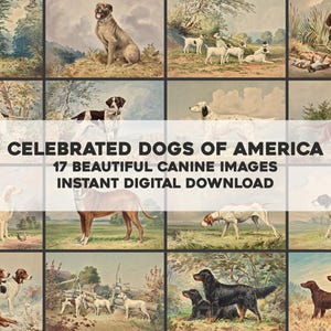 Pode incluir: Uma colagem de 17 ilustrações vintage de cães, apresentando várias raças em ambientes externos. O texto "CELEBRATED DOGS OF AMERICA" e "17 BEAUTIFUL CANINE IMAGES INSTANT DIGITAL DOWNLOAD" é exibido no centro da imagem.