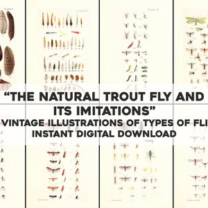 16 De natuurlijke forel vliegvissen vliegen illustraties | Afbeeldingsbundel/afdrukbare muurkunst | Directe digitale download | Commercieel gebruik