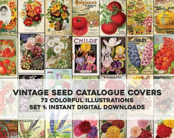 73 Seed Catalogue Illustrations Botanical Floral Garden | Vintage Craft Image Bundle | Instant Digital Download | Physical Commercial Use 1