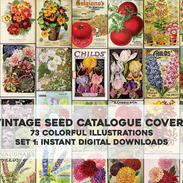 73 Seed Catalogue Illustrations Botanical Floral Garden | Vintage Craft Image Bundle | Instant Digital Download | Physical Commercial Use 1