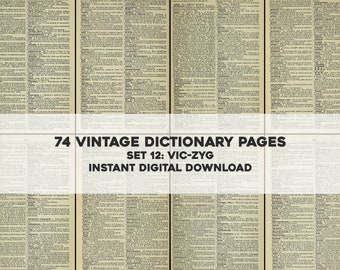 HiPPiE DICTIONARY ヒッピーディクショナリー洋書古書 HiPPiE DICTIONARY ヒッピーディクショナリー洋書古書