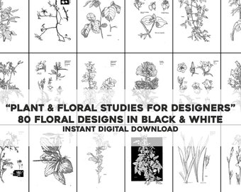 80 Botanical Illustrations in Black & White Designs | Image Bundle Printable Wall Art Craft Bundle | Instant Digital Download Commercial Use