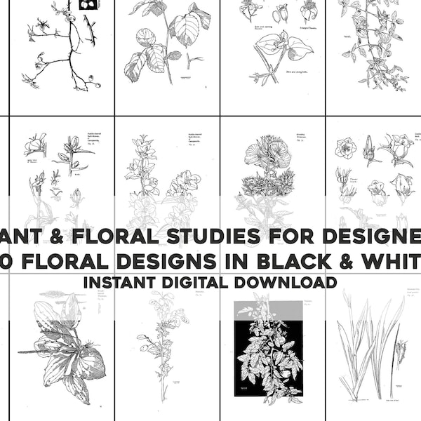 80 Botanical Illustrations in Black & White Designs | Image Bundle Printable Wall Art Craft Bundle | Instant Digital Download Commercial Use