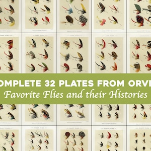 Mary Orvis Complete Vintage Fly Fishing Flies Trout Salmon Fisherman Dry Flies Bass Lures Illustrations Bundle Printable Download Insects