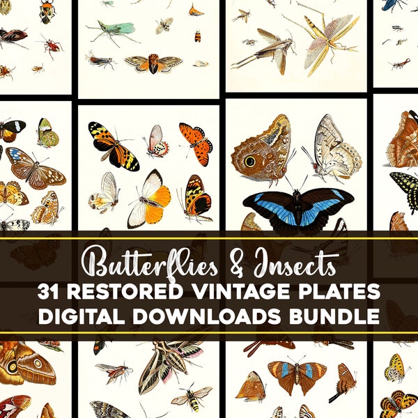 Awesome Insect Families Illustrations Bundle Printable Download Insects Botanical Floral Nature Scenery Bugs Luna Moth JPEG
