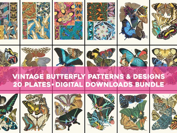 Butterfly Vintage Illustrations Wall Art Bundle Printable Download Design Butterflies Botanical Patterns Floral Scenery Bugs Luna Moth