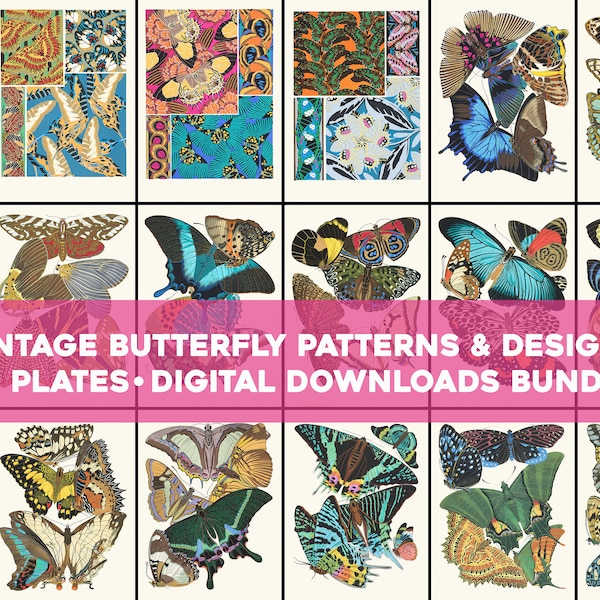 Butterfly Vintage Illustrations Wall Art Bundle Printable Download Design Butterflies Botanical Patterns Floral Scenery Bugs Luna Moth