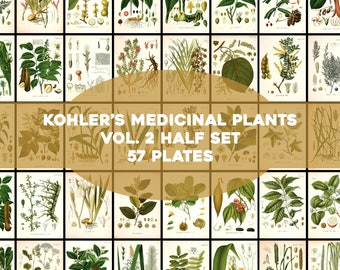 Peut inclure: Un collage de 57 illustrations botaniques de plantes médicinales de Kohler's Medicinal Plants, Vol. 2 Half Set. Les illustrations sont de style vintage et présentent des dessins détaillés de diverses plantes et de leurs parties.