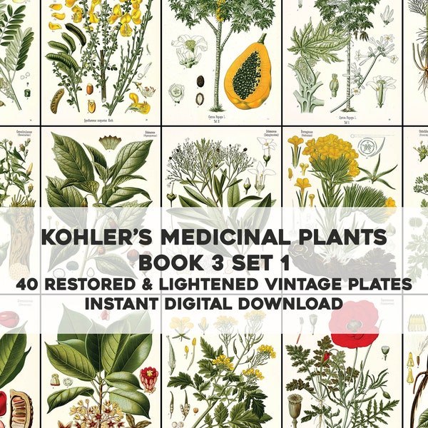 40 Whitened Kohler's Medicinal Plant Illustrations Book 3 Set 1 | HQ Image Bundle | Instant Digital Download | Physical Commercial Use