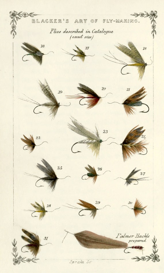 20 Blacker's Art of Fly Making Fishing Flies Illustrations Image