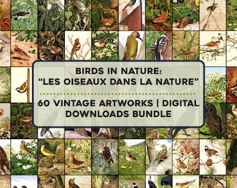 May include: A collage of 60 vintage illustrations of birds in nature. The images are arranged in a grid pattern and feature a variety of bird species, including robins, sparrows, and woodpeckers. The title "BIRDS IN NATURE: "LES OISEAUX DANS LA NATURE" 60 VINTAGE ARTWORKS | DIGITAL DOWNLOADS BUNDLE" is displayed in the center of the collage.