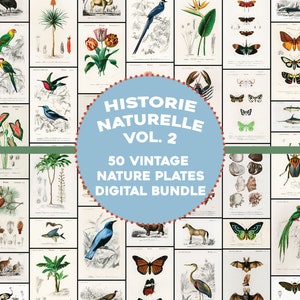 50 fantastische Pflanzen, Tiere, Insekt Illustrationen Historie Naturelle Platten Vintage druckbare Wand Kunst Bundle Digitaler Download Kommerzielle Nutzung