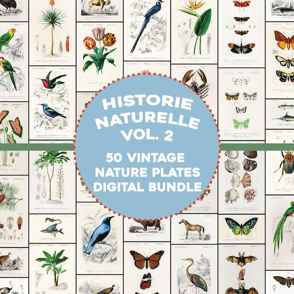 Vintage Printable - Etsy