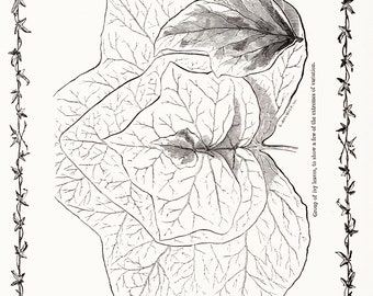 il_340x270.5402160573_3zlg.jpg