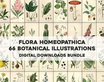 66 Beautiful Flora Homeopathica Botanical Illustrations | HQ Image Bundle Printable Wall Art | Instant Digital Download Commercial Use