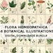 66 Beautiful Flora Homeopathica Botanical Illustrations | HQ Image Bundle Printable Wall Art | Instant Digital Download Commercial Use
