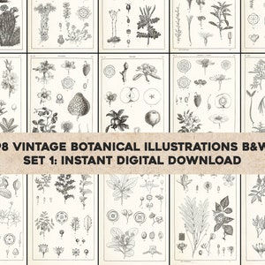 Atlas manuel des 98 illustrations botaniques en noir et blanc | HQ Image Bundle Art mural imprimable | Téléchargement numérique instantané Utilisation commerciale 1