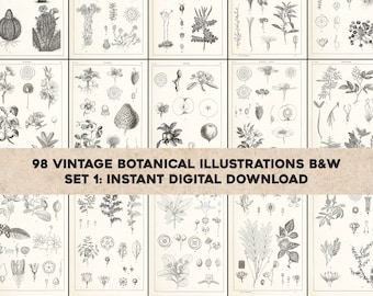 May include: A set of 98 vintage botanical illustrations in black and white. The illustrations depict various plants and flowers, including cacti, strawberries, apples, and ferns. The illustrations are arranged in a grid pattern on a white background. The text "98 Vintage Botanical Illustrations B&W Set 1: Instant Digital Download" is displayed at the bottom of the image.