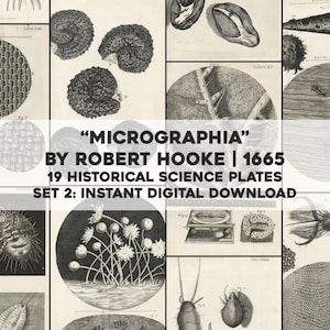 Pode incluir: Uma coleção de 19 placas científicas históricas de "Micrographia" de Robert Hooke de 1665. As ilustrações em preto e branco retratam várias observações científicas. O texto "MICROGRAPHIA" é visível.