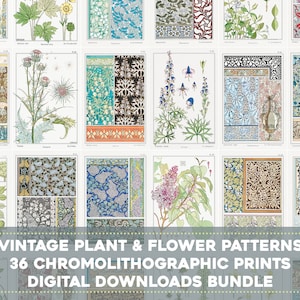 Puede incluir: Un paquete de descarga digital de 36 patrones vintage de plantas y flores. Los patrones son de varios colores y estilos, incluyendo floral, geométrico y abstracto. Los patrones son perfectos para usar en scrapbooking, creación de tarjetas y otros proyectos de manualidades.