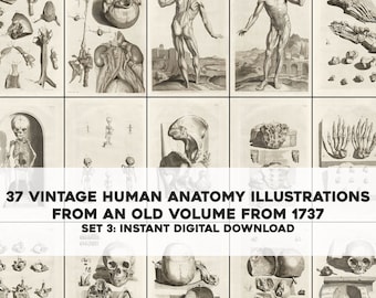 37 Amazing Anatomy of the Human Body After Life Illustrations | Image Bundle Printable Art | Instant Digital Download Commercial Use 3