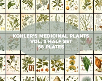 Peut inclure: Un collage de 58 illustrations botaniques de plantes médicinales de Kohler's Medicinal Plants, Vol. 2 Half Set. Les illustrations sont de style vintage et présentent des dessins détaillés de diverses plantes et de leurs parties.