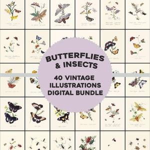 40 beaux papillons, insectes et illustrations botaniques Bundle Printable Wall Art Digital Download | scène de la nature florale vintage