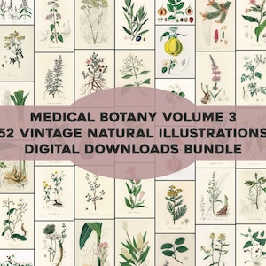Set 3 Medical Botany 52 Plates High Resolution Image Bundle | Printable Wall Art Bundle | Vintage Flowers Botanical Instant Download