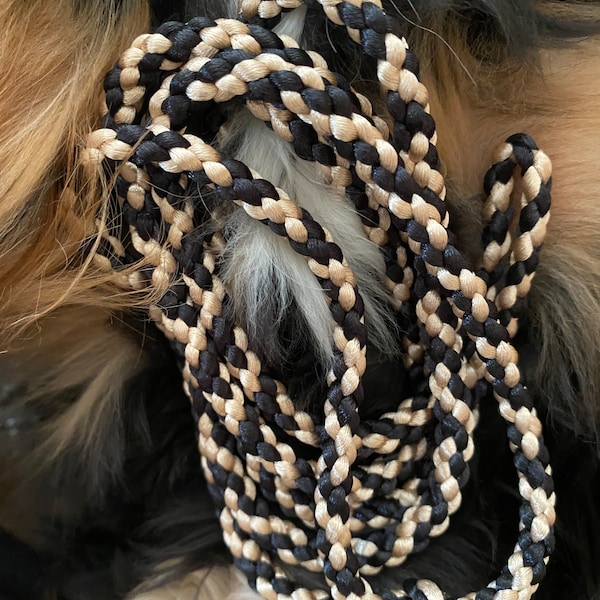 Black and White Braided Dog Show Leads Etsy
