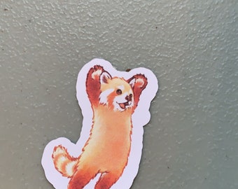 Może przedstawiać: Naklejka z czerwonym pandą na białym tle. Czerwony panda stoi na tylnych łapach z uniesionymi w górę łapami. Ma szczęśliwy wyraz twarzy.