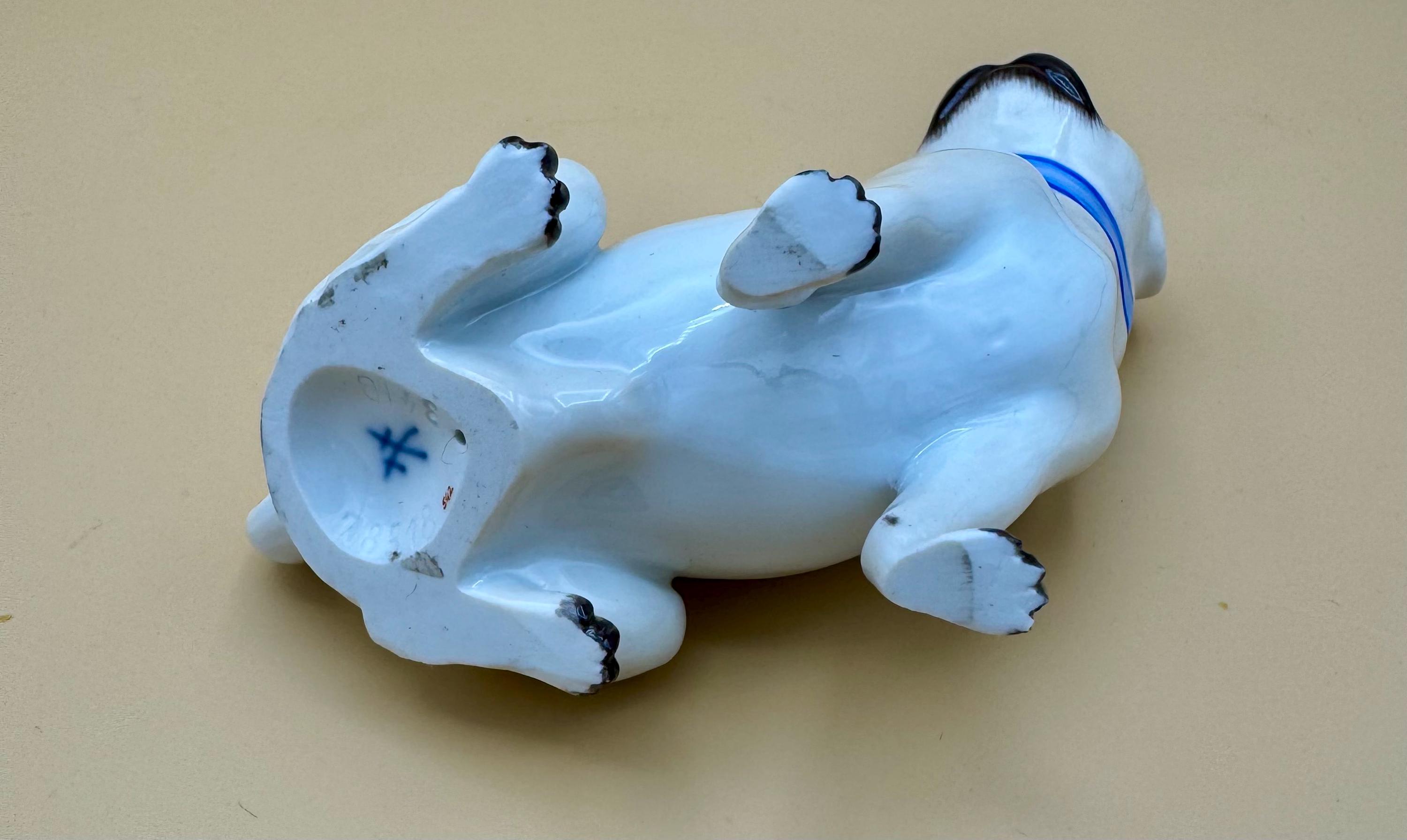 Antique Meissen Porcelain Small 4” Pug Dog W/blue Collar Figurine