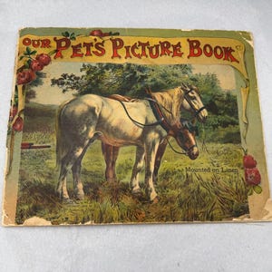 Antikes Haustiere Bilderbuch McLoughlin Bros Leinen Kinderbuch